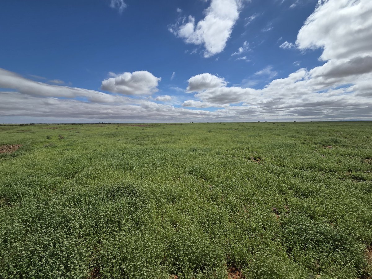 Scott Michael tweet media