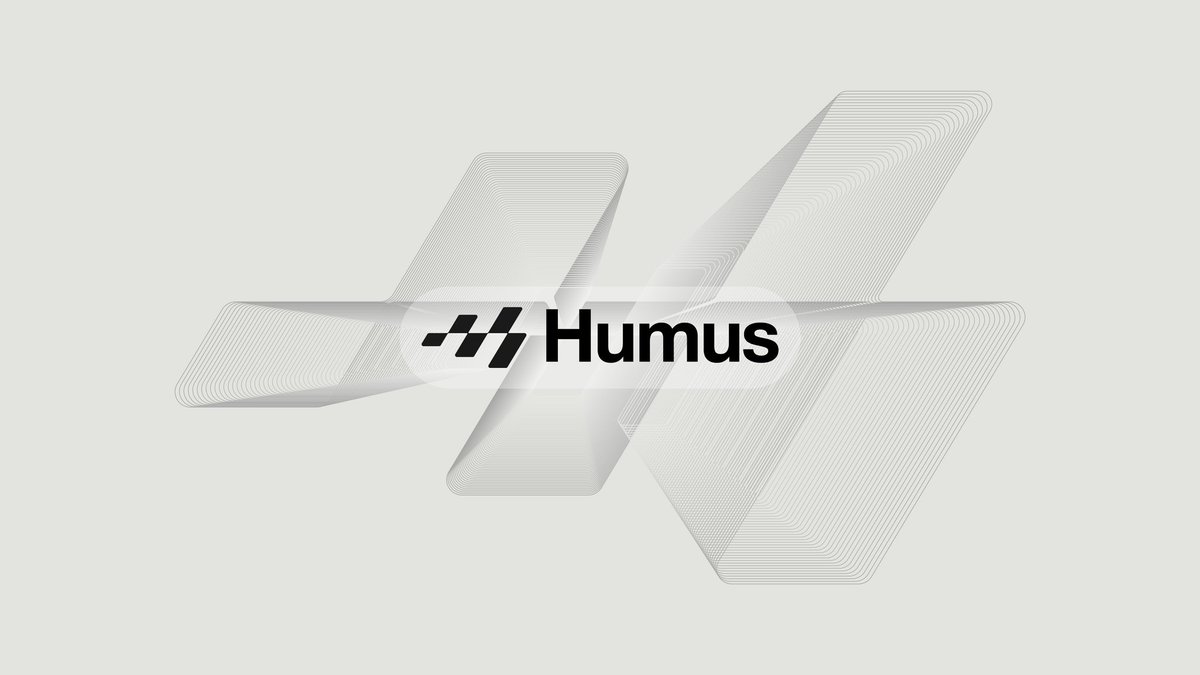 Peter 🖱️ tweet media