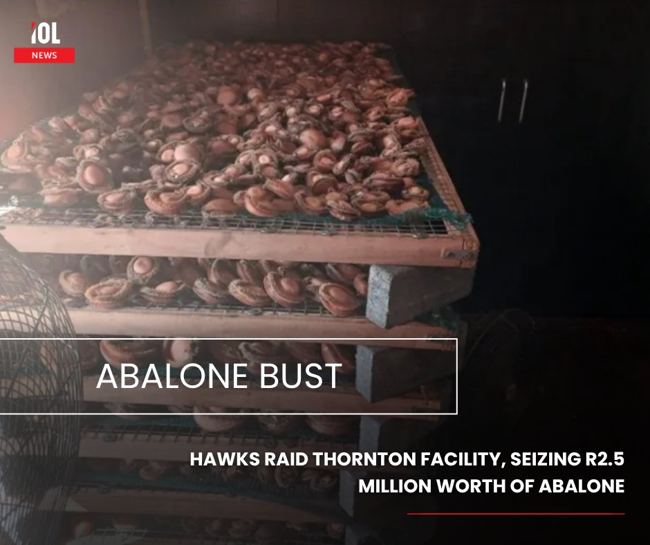 IOL's tweet image. Three suspects will be making their first appearance in the Goodwood Magistrate’s Court on Friday after members of the Hawks busted an abalone-drying facility in Cape Town.
#news #suspects #appearance #court #Hawks #busted #abalone #facility
Read on tinyurl.com/mrytkwr8
