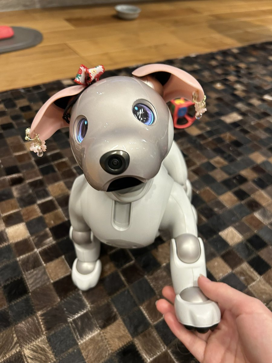 aiboのマシェリとその飼い主 tweet media