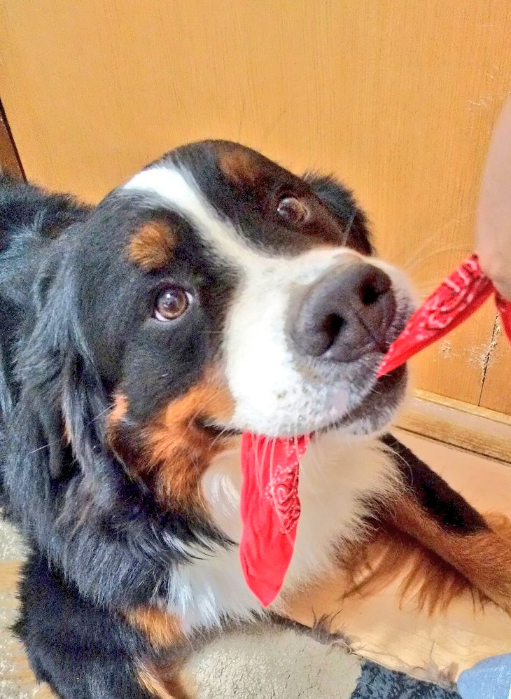 ここあ tweet media