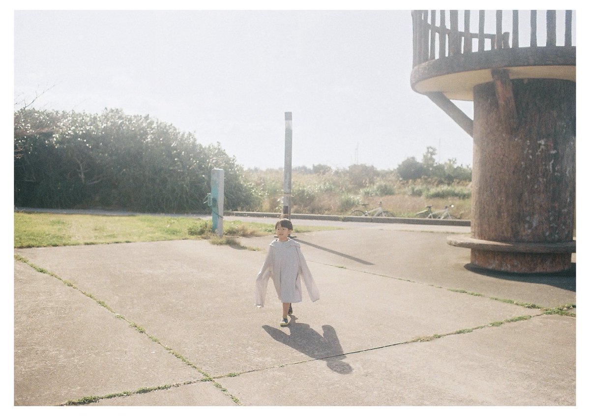 busse_2410 tweet media