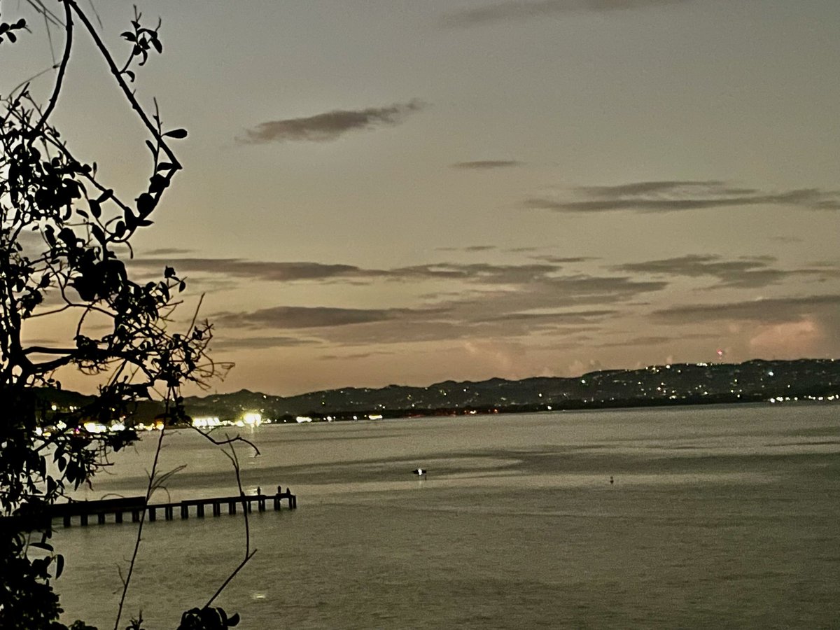 CRASH BOAT RAY tweet media