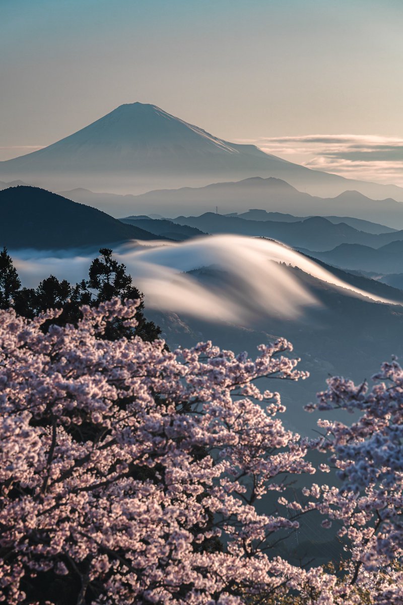 富士山と桜と滝雲。

#sonyalpha