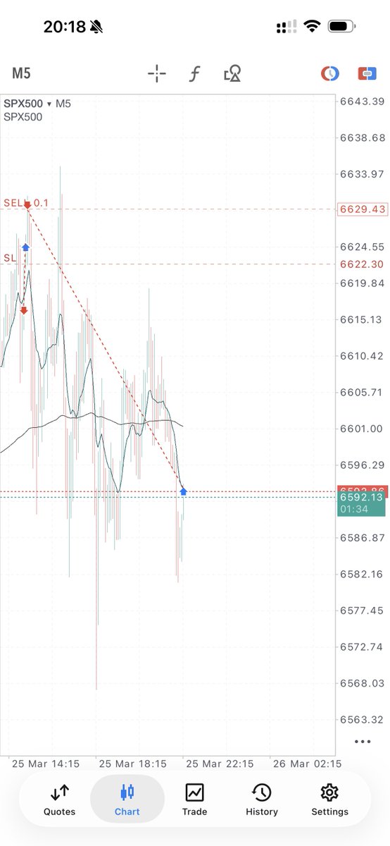 Ray Trades tweet media