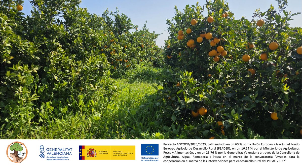 Cooperatives Agro-alimentàries CV tweet media