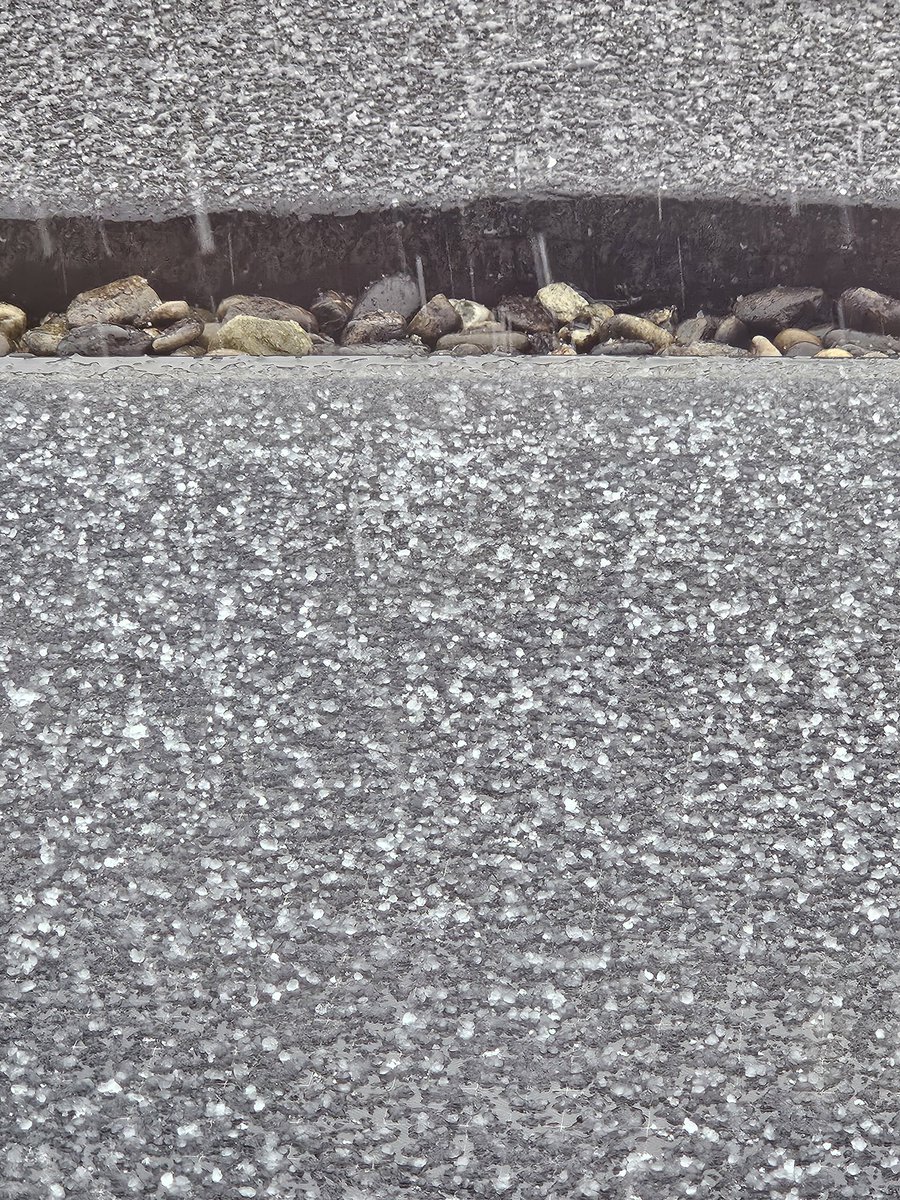 Stephanie tweet media