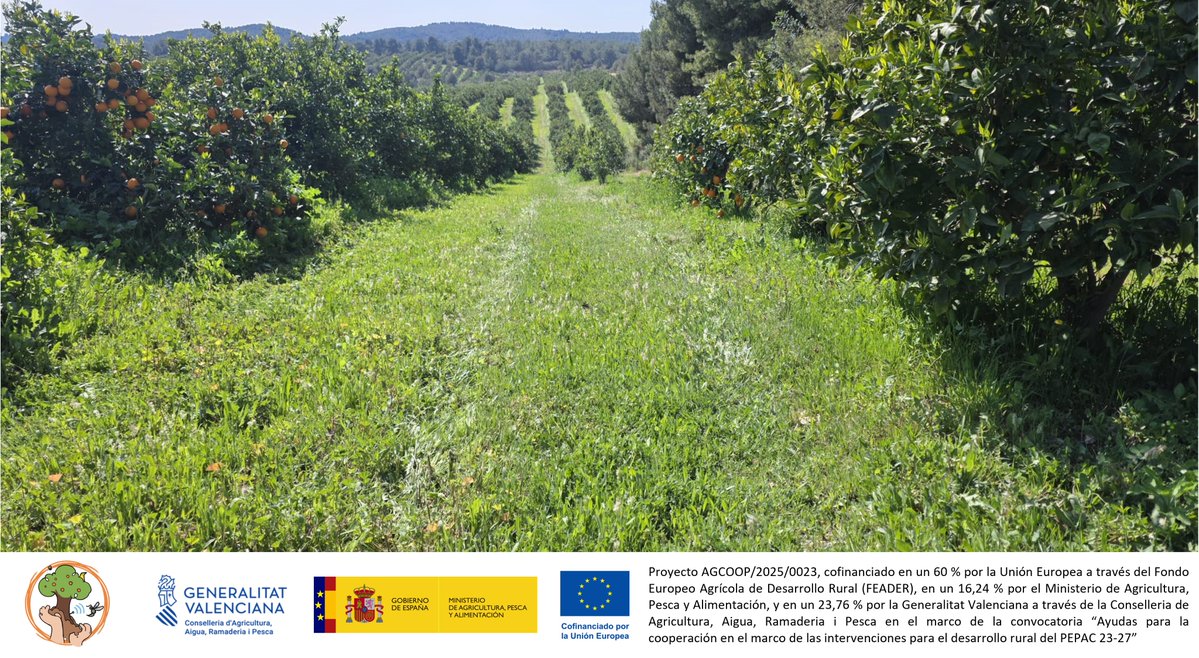 Cooperatives Agro-alimentàries CV tweet media