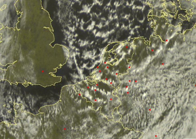 Buienradar tweet media