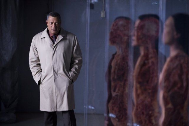 no' 🎼 tweet media