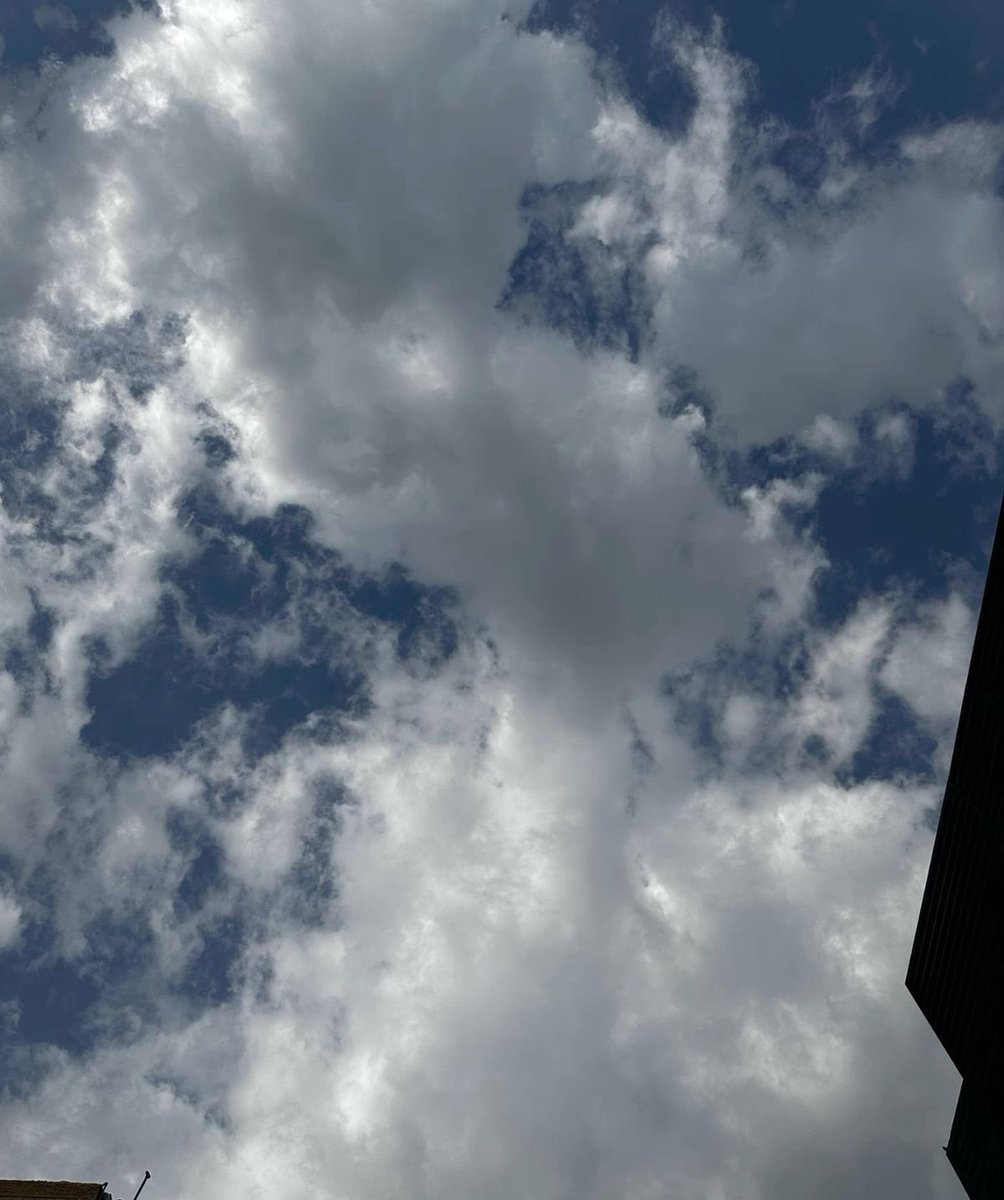 عواش tweet media