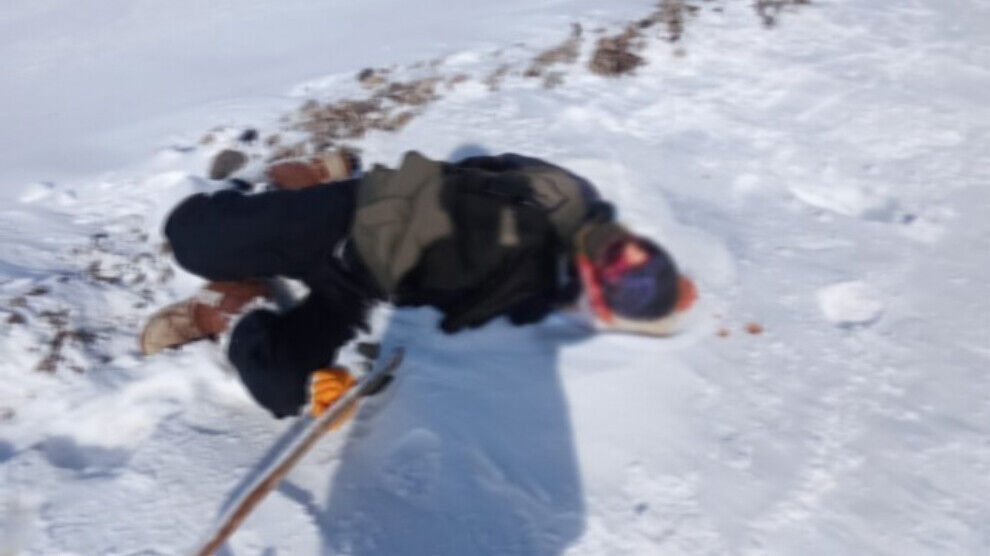 ANF Türkçe tweet media