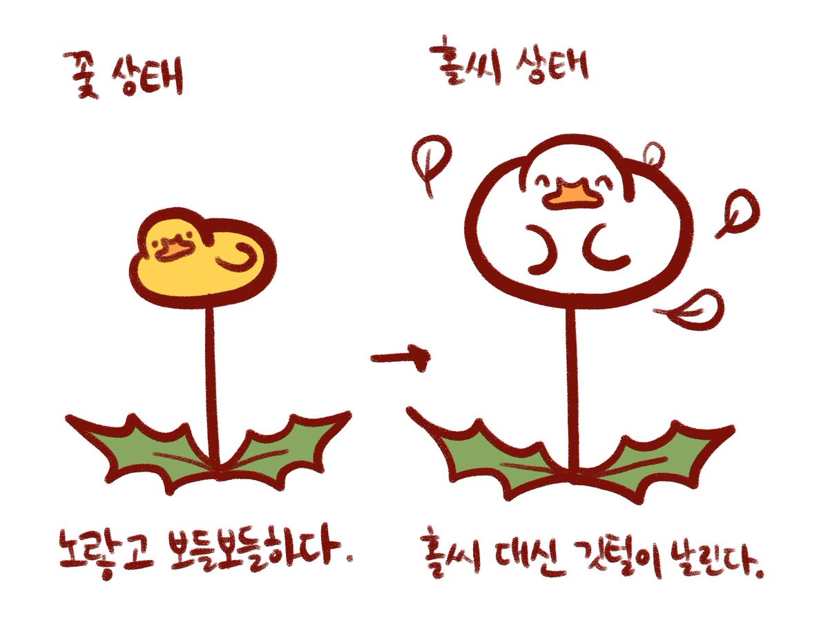 오리연못 tweet media