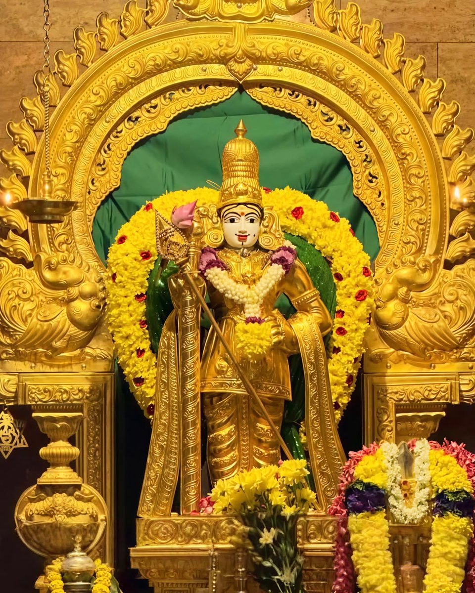 Vivek Vardhan tweet media