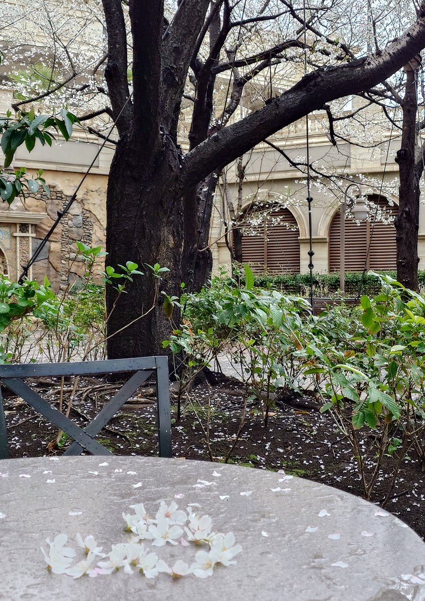 え だ ま め tweet media