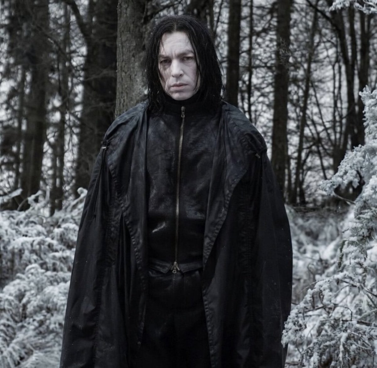 SitoCinema tweet media