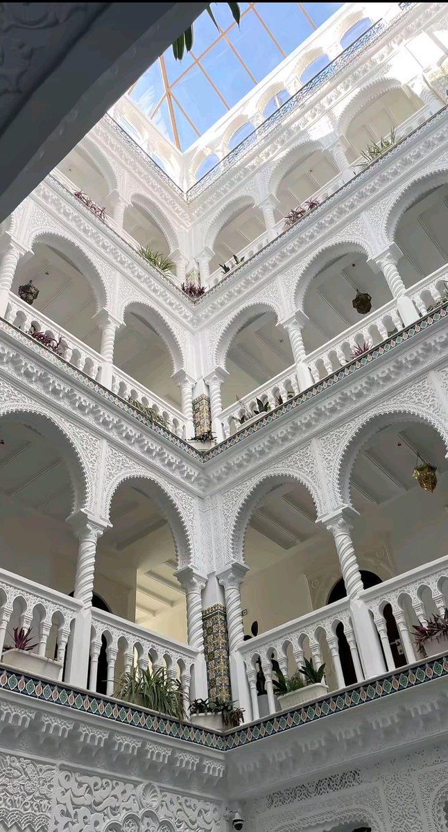 Map Of Algeria 🇩🇿 🌍 ✈️🌅☀️ tweet media