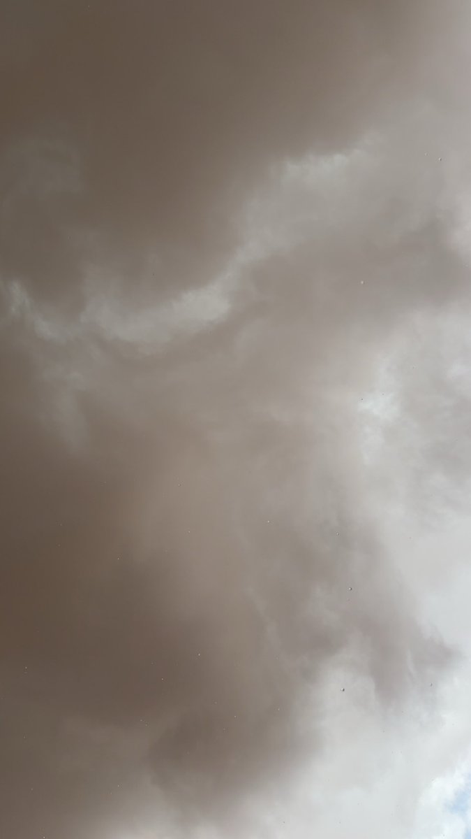 تووته الشلاقي tweet media