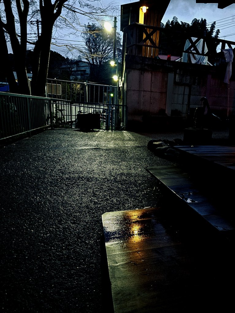 きなこ tweet media