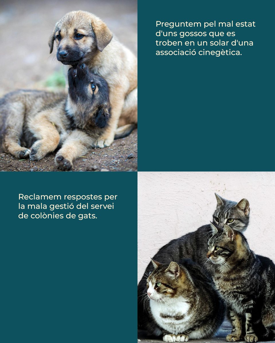 Estimem el Prat tweet media