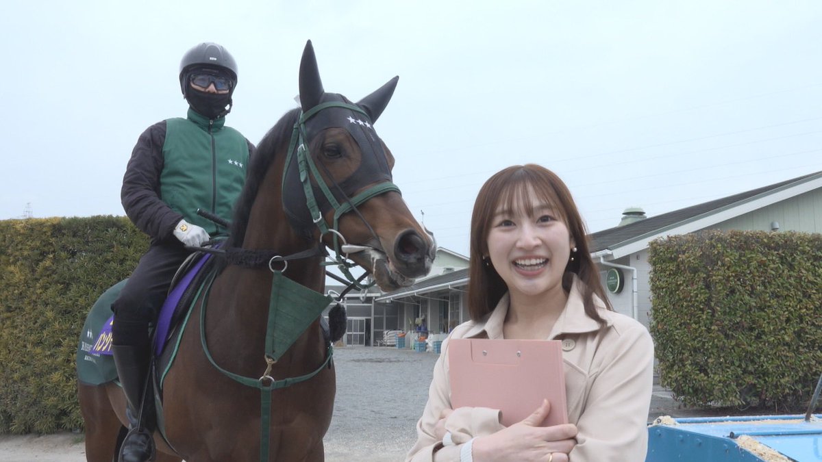 トレセンまるごと情報局【公式】 tweet media