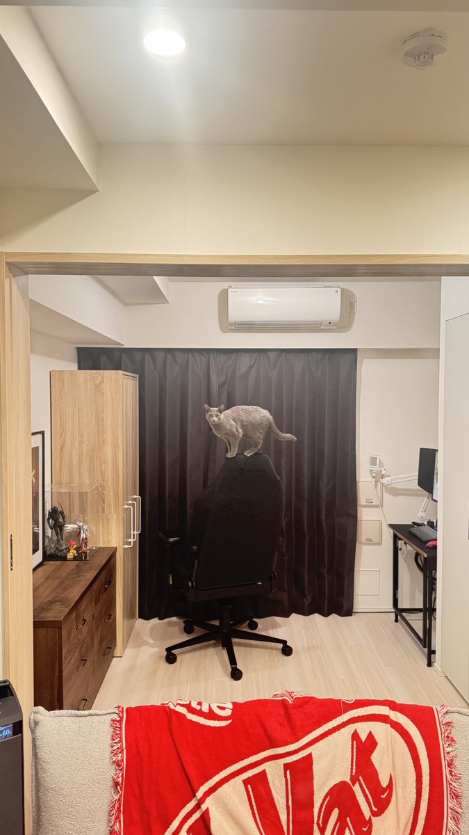 ﾊﾟﾈﾀﾞ tweet media