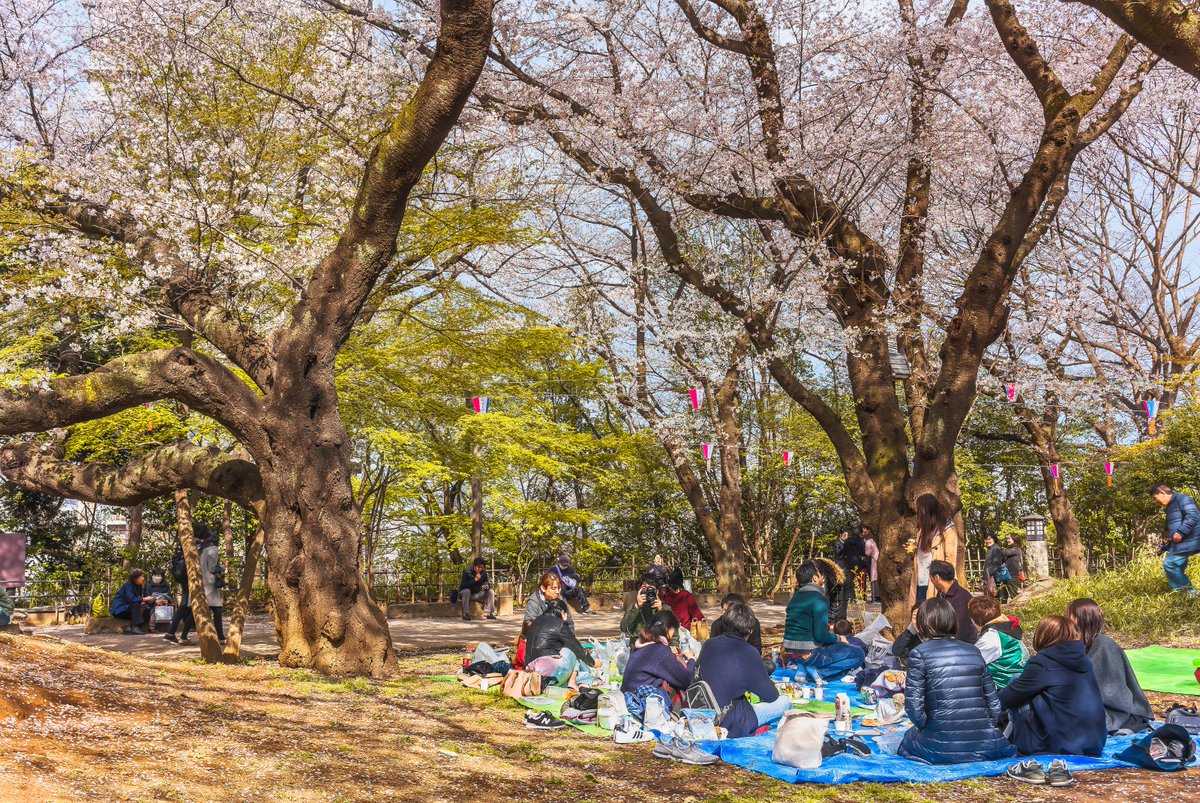 A Different Side of Japan tweet media