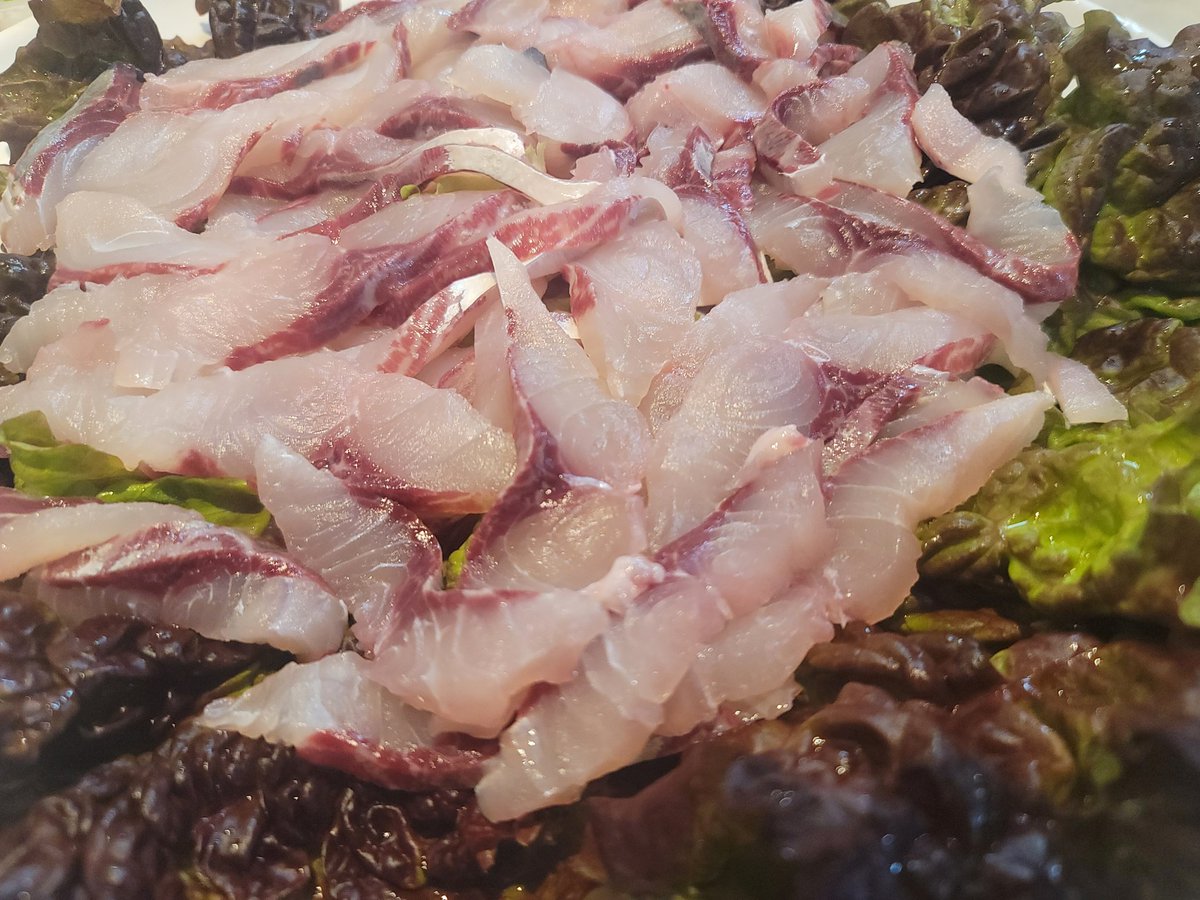 머미❤️‍🩹 tweet media