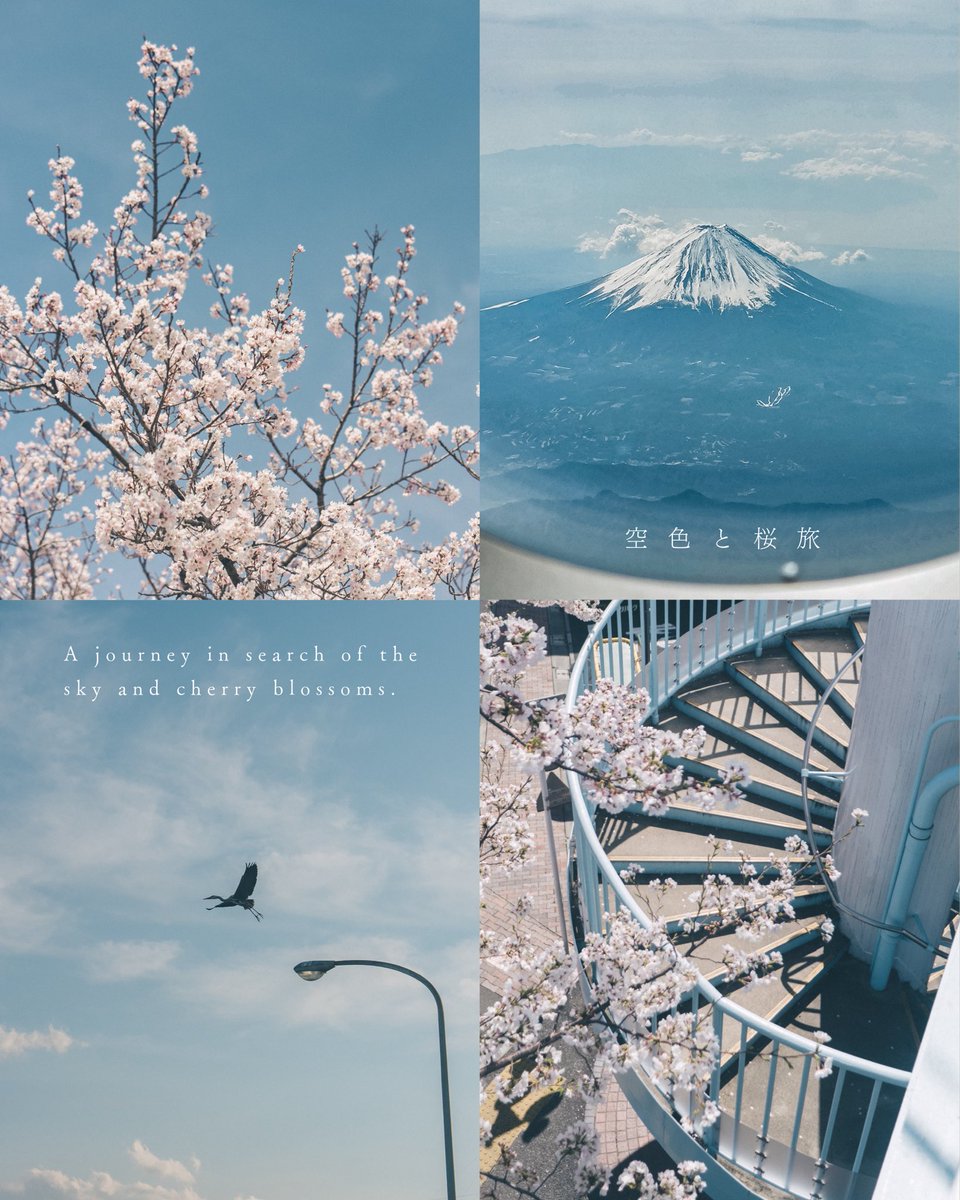 丹子tanco tweet media