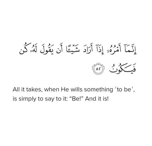 Muslim Ummah tweet media