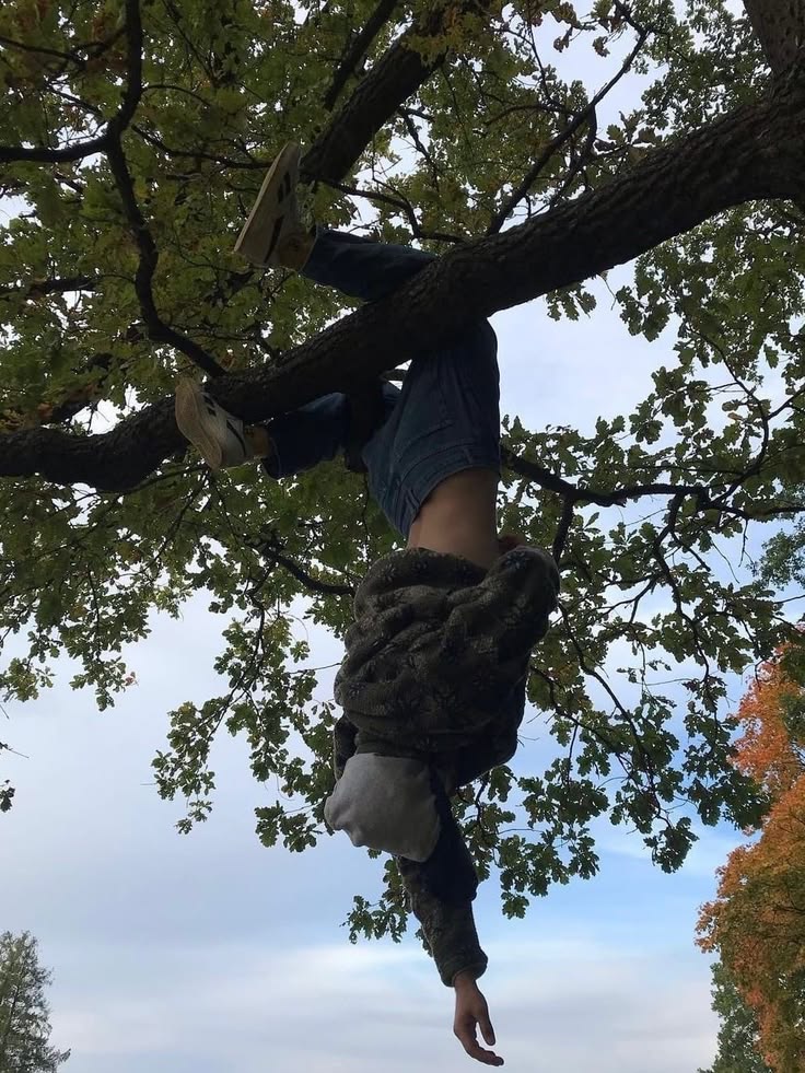 kubicka; boo tweet media