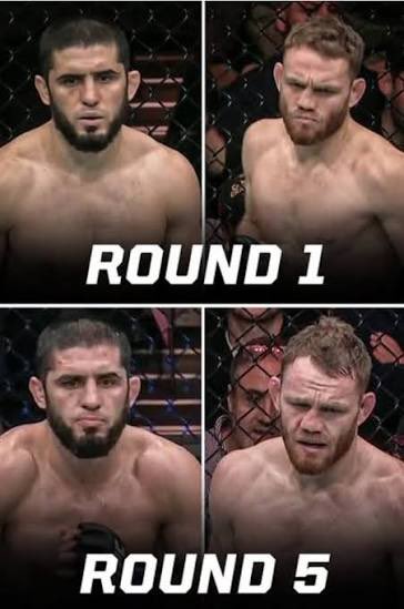 • 𝕁𝕒𝕪 🦁 tweet media