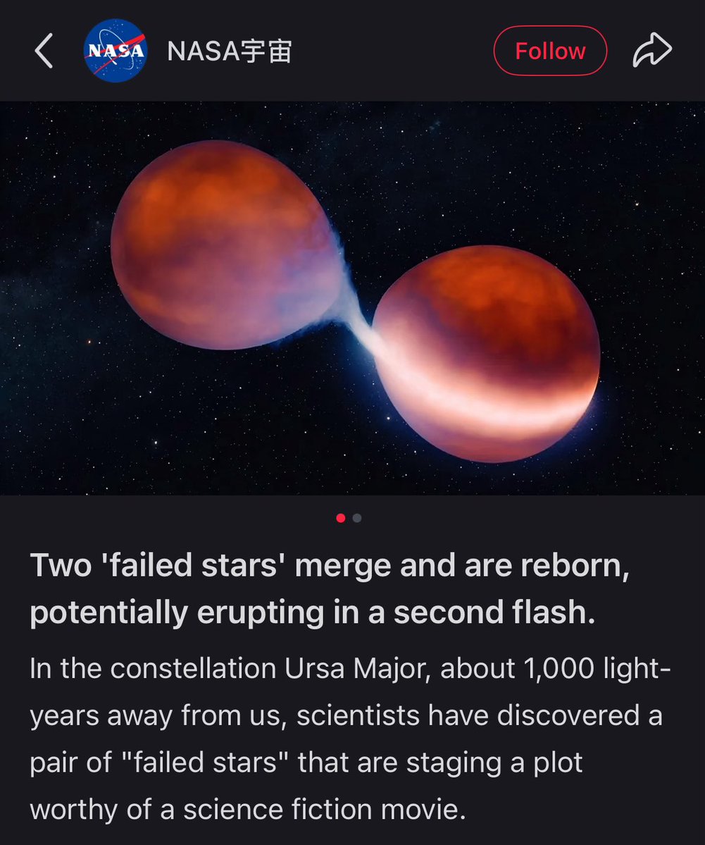 applefish connoisseur tweet media