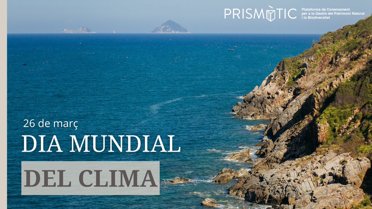 Prismatic_nat's tweet image. El clima està canviant a marxes forçades i el patrimoni natural i la #biodiversitat es veuen obligats a adaptar-se o morir ❤️‍🩹 Avui, #DiaMundialDelClima, repassem algunes fitxes Prismàtic vinculades amb aquesta temàtica 🧵👇