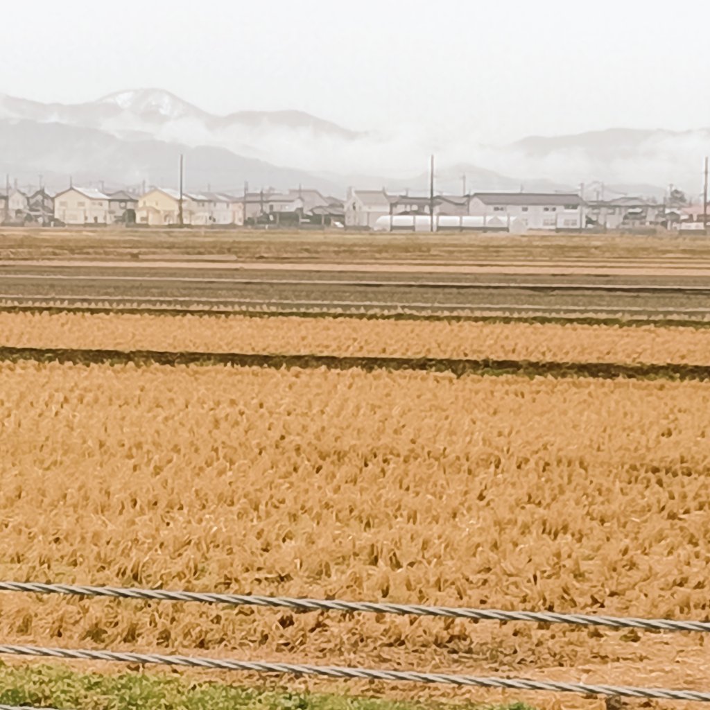 山形県の格闘技好きな普通の人　人は常に挑戦し進化する。 tweet media