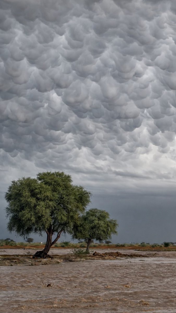 حُزيران tweet media