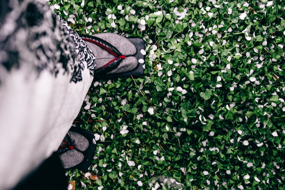 足元自撮り👘

今週末は桜満開にはまだちょっと早そう⋯？場所にもよるだろうけど

#カレンブロッソ #rumirock
#桜 #写真好きな人と繋がりたい 
#着物コーディネート #着物好きな人と繋がりたい