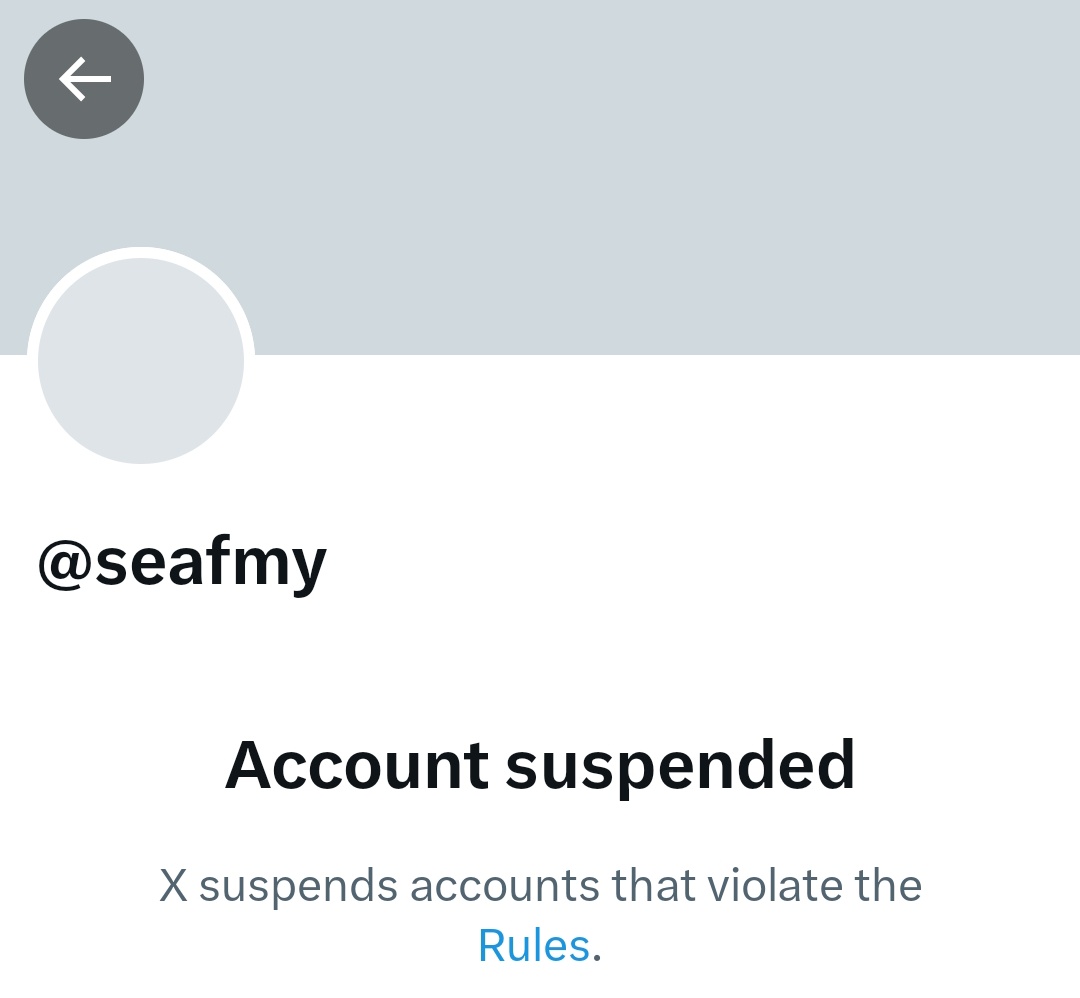 사랑하는 prima. 🐇 tweet media