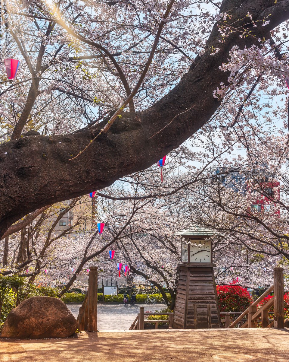 A Different Side of Japan tweet media