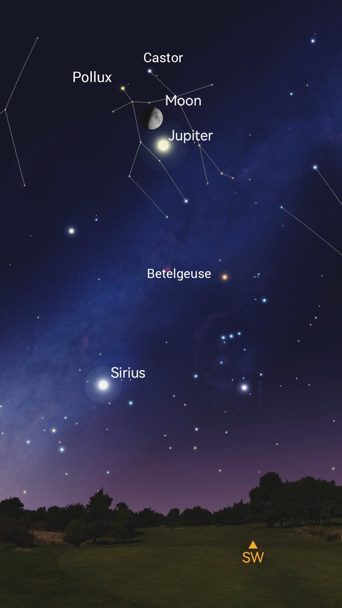 Valentin Ghincolov🇪🇺🌍✨ tweet media