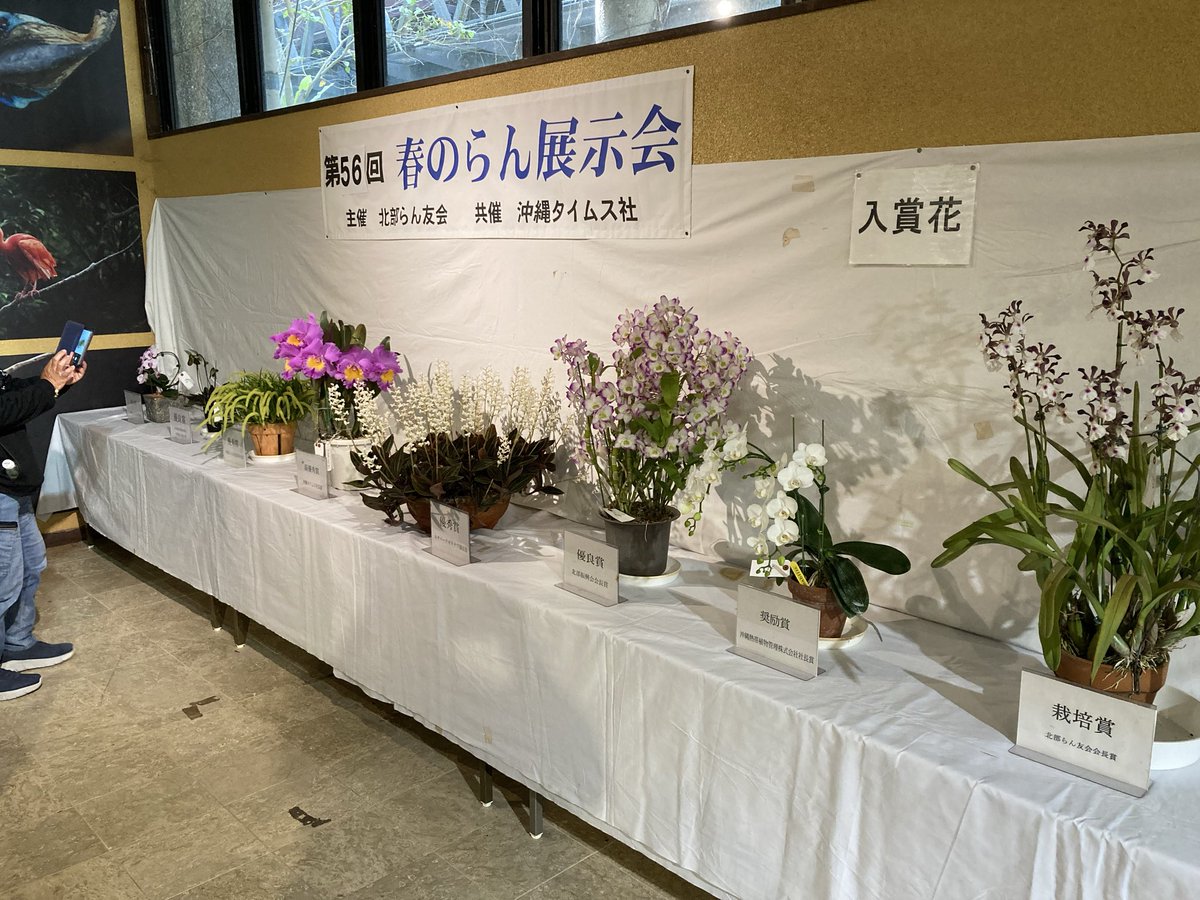 こことは tweet media