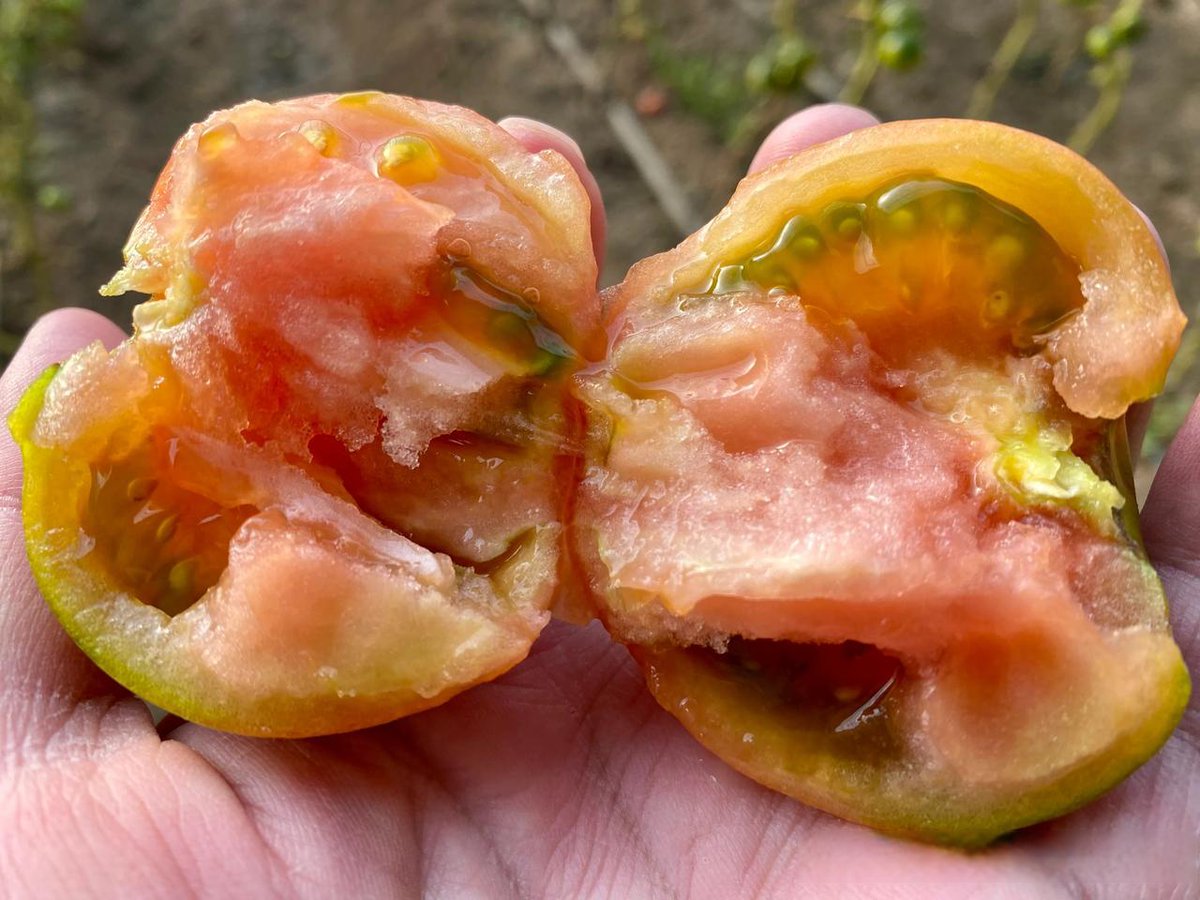 Унылое веселье tweet media