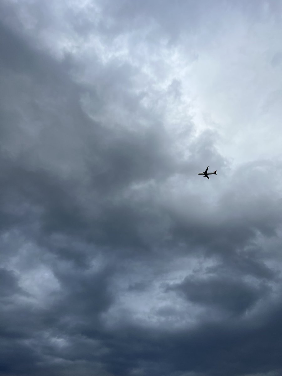 شـاهـيـن . tweet media