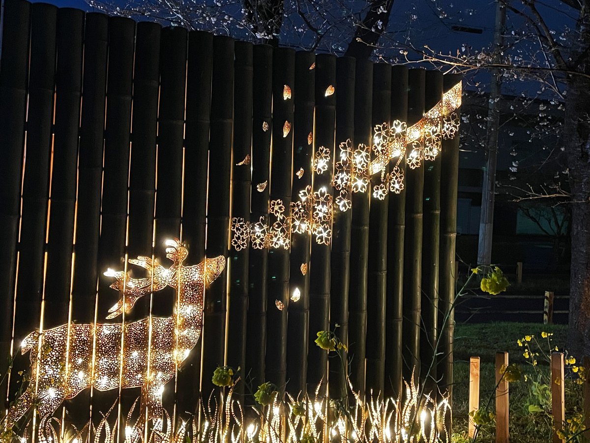 熊谷市観光協会 tweet media