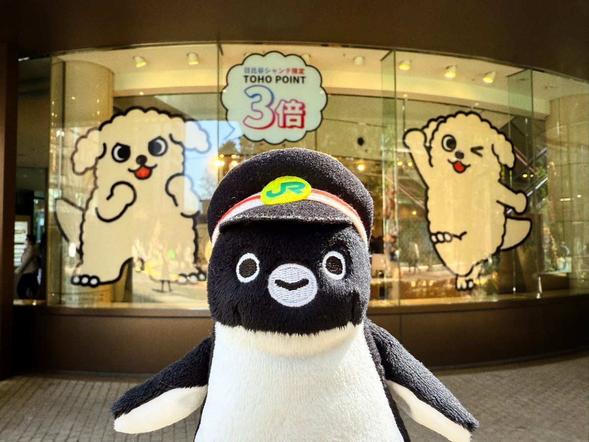 すどう tweet media