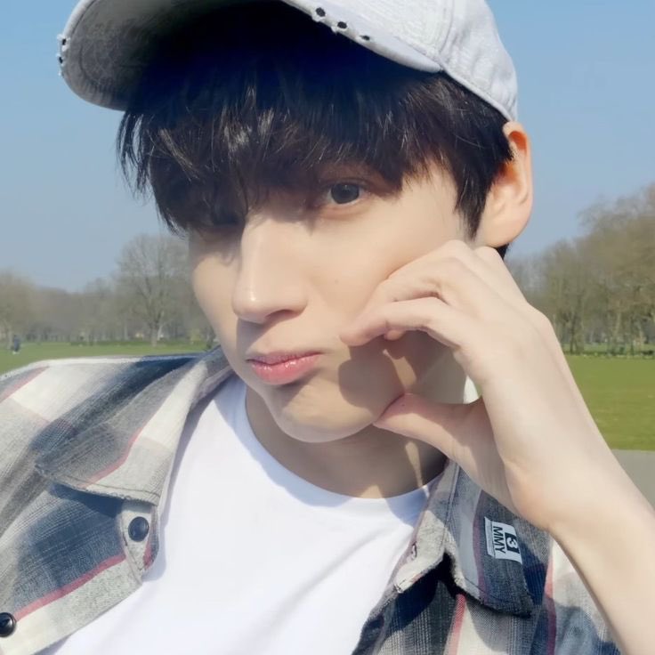 sheep hi tweet media