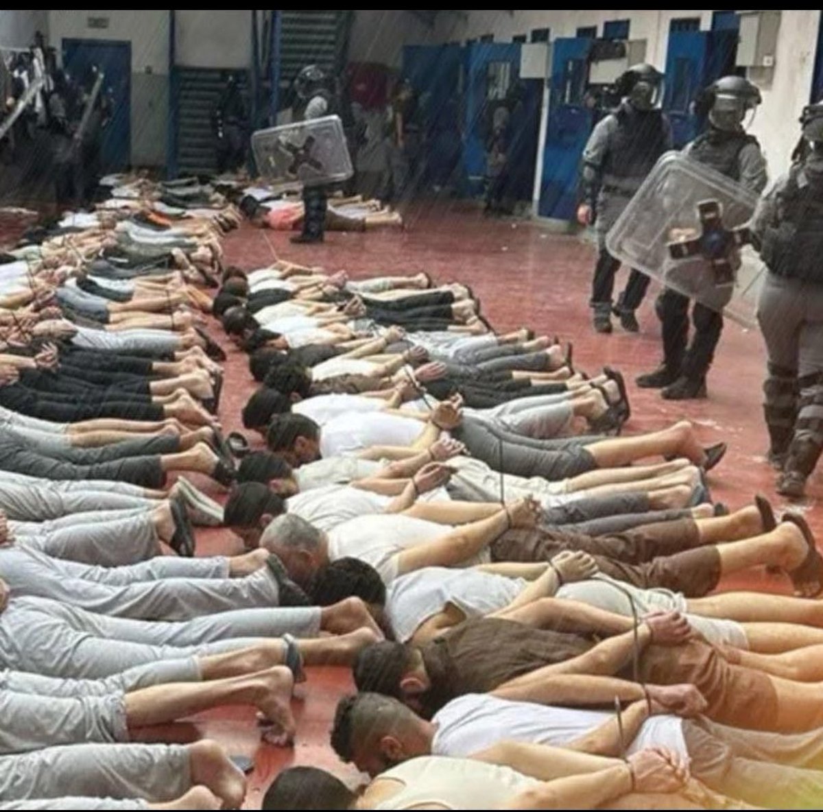 بشري Ghazanfar 💞❣️ tweet media