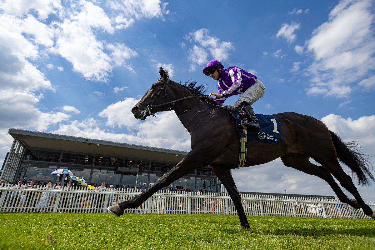 Racing Post tweet media