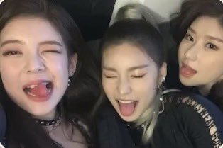 two tigers and a sloth