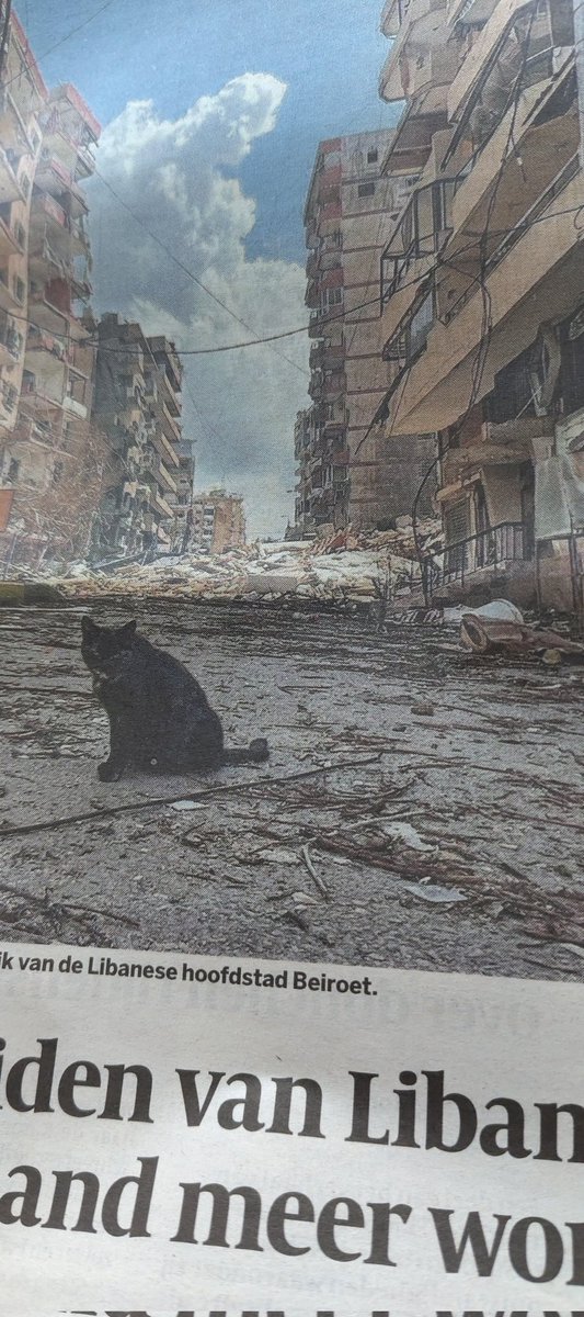 hebawi's tweet image. Terreurstaat Israël onder #netanyahuwarcriminal met behulp van oorlogvoerder Trump.